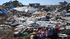 EÚ vyzvala Rusko, aby sa prihlásilo k zodpovednosti za zostrelenie malajského lietadla