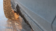 Posledné počasie podľa Iľka na tento rok: Nemáme sa na čo tešiť