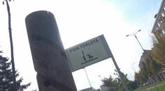 Pre psích miláčikov chystajú v Liptovskom Mikuláši netradičné riešenie