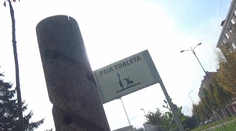 Pre psích miláčikov chystajú v Liptovskom Mikuláši netradičné riešenie
