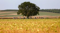Chorváti sú zúfalí! Nová trasa migrantov do EÚ vedie cez ich krajinu