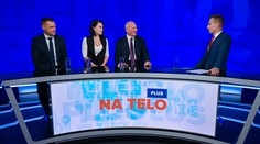 Armáda na hraniciach aj plán Viktora Orbána. Takto príliv utečencov vidia v SaS, KDH a SNS (Na telo PLUS)