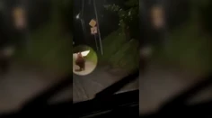 VIDEO: Centrom Sabinova sa prechádzal medveď. Miestni si na takýto prípad nepamätajú
