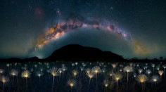 FOTOGALÉRIA: Ohurujú krásou aj nútia človeka sa zamyslieť. Ocenili najpozoruhodnejšie snímky prírody