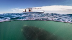 Najlepší záber roka? Tu je fotografia, ktorá by si toto ocenenie zaslúžila