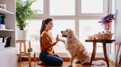 Vedci tvrdia, že už čoskoro budeme môcť hovoriť so zvieratami. Umožní to tento prístroj