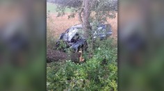 Tragická nehoda v okrese Rožňava. Vodič neprežil silný náraz do stromu
