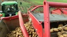 Z tohtoročnej úrody zemiakov nemáme dôvod na úsmev