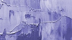 Už je známa farba budúceho roka: Pomenovali ju podľa malej rastlinky