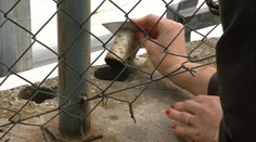 Hľadajte poklady v Bratislave