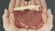 Tajomstvo správneho stravovania odhalené. Toto sú ideálne porcie