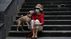 Mexiko zaznamenalo 4930 nových prípadov nákazy