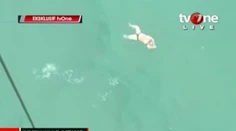 V mori našli viac ako 40 mŕtvych tiel zo zmiznutého lietadla