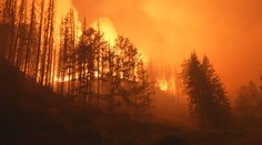 Obrovského požiaru ako v Česku sa musíme obávať aj u nás. Na vine nie je iba zmena klímy