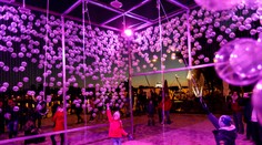 FOTKY: Bratislava zažila Bielu noc, na umenie sa prišli pozreť tisícky ľudí