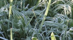 V Česku tak mrzlo, že padali vyše 70 rokov staré teplotné rekordy