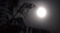 Romantika v prírode pri svätojánskych muškách? Pomaly na to môžeme zabudnúť