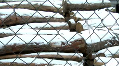 Podozrivý kšeft v podtatranskej Hranovnici. Za 17-tisíc eur