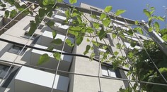 Dva roky mali bývať vo vlastnom, developer dokončenie odkladá. Ľudia začínajú pochybovať