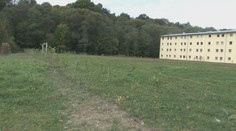 Okolo rómskych bytoviek vysadili stromčeky. Miestni hovoria o segregácii