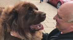 Ak sa veľmi maznáte so zvieracím miláčikom, môžete mu uškodiť