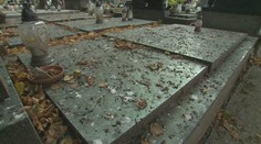 Cintorín v Topoľčanoch pokryl vtáčí trus. Kompetentní o probléme vedia, no riešenie je vraj komplikované