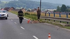 Motorkár sa pri Hybe zrazil s jeleňom, skončil v bezvedomí v nemocnici