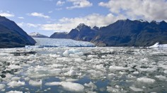 Vedci varujú, že „antarktický obor“ sa prebúdza. Podľa nich to môže znamenať katastrofu