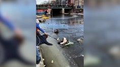 VIDEO: Pod korčuliarmi v Amsterdame sa prepadol ľad. Zachraňovať ich museli okoloidúci