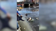VIDEO: Pod korčuliarmi v Amsterdame sa prepadol ľad. Zachraňovať ich museli okoloidúci
