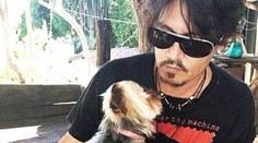 Austrália sa Johnnymu Deppovi vyhráža utratením jeho psov