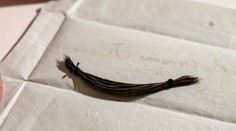 Vedci odhalili príčinu Beethovenovej smrti. Kľúčom bola analýza jeho vlasov