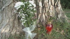 Smrť chlapca v Nitre vyvoláva otázniky: Kto nesie zodpovednosť za osudný strom?