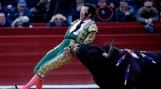 Takmer zomrel. Kamery zachytili, ako toreádorovi vyletelo sklenené oko