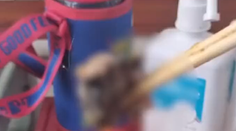 VIDEO: Muža v nemocničnej jedálni čakalo nemilé prekvapenie. V jedle našiel myšaciu hlavu