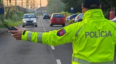 Časť Trestného zákona o doživotnom treste pre vodičov je protiústavná, rozhodol Ústavný súd SR