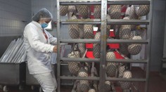 Pracujú v mraziarňach, na ľade či v jaskyni. Niektorí sa v horúčavách pri práci schladzovať nemusia