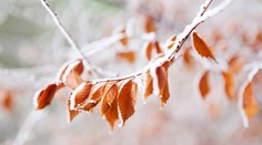 Výstrahy sa napĺňajú, čaká nás ochladenie. Už koncom týždňa