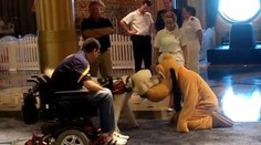 Psíkom lomcujú emócie: Stretol Pluta a myslel si, že je skutočný