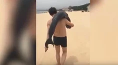 VIDEO: Turista si z pláže odniesol mŕtveho delfína. Rybu naložil do auta a odišiel