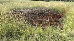 Mladíkovi hrozí za vatru väzenie. Nelegálne pálil pneumatiky