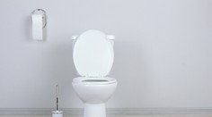 Samce rýb sa menia na samičky. Pre tieto veci, ktoré končia vo vašej toalete