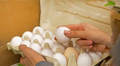 Hydinové mäso aj vajcia budú výrazne drahšie, avizuje Únia hydinárov Slovenska