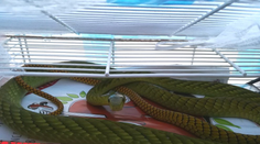 Poplach v Prahe: Utiekol smrteľne jedovatý had. Doteraz ho nenašli