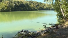 Na Ružíne rutinne odobrali vzorky rýb. Čo v nich našli, nečakali