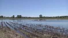 Farmári na Zemplíne nemôžu na polia. Ak chcú na pôdu dotáciu, zasiať musia čo najskôr