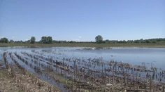 Farmári na Zemplíne nemôžu na polia. Ak chcú na pôdu dotáciu, zasiať musia čo najskôr