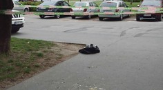 V prípade smrti mladej ženy, ktorú v Nových Zámkoch poliali kyselinou, nastali zásadné zmeny