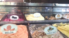 Testovali sme kvalitu zmrzlín: Výsledok bol viac ako prekvapivý