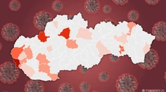 Na Slovensku pribudlo 11 prípadov nákazy koronavírusom, počet pacientov stúpol na 72